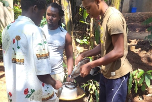 Arusha: tour delle sorgenti termali, delle cascate e delle piantagioni di caffè