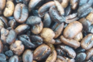 Arusha: tour delle sorgenti termali, delle cascate e delle piantagioni di caffè