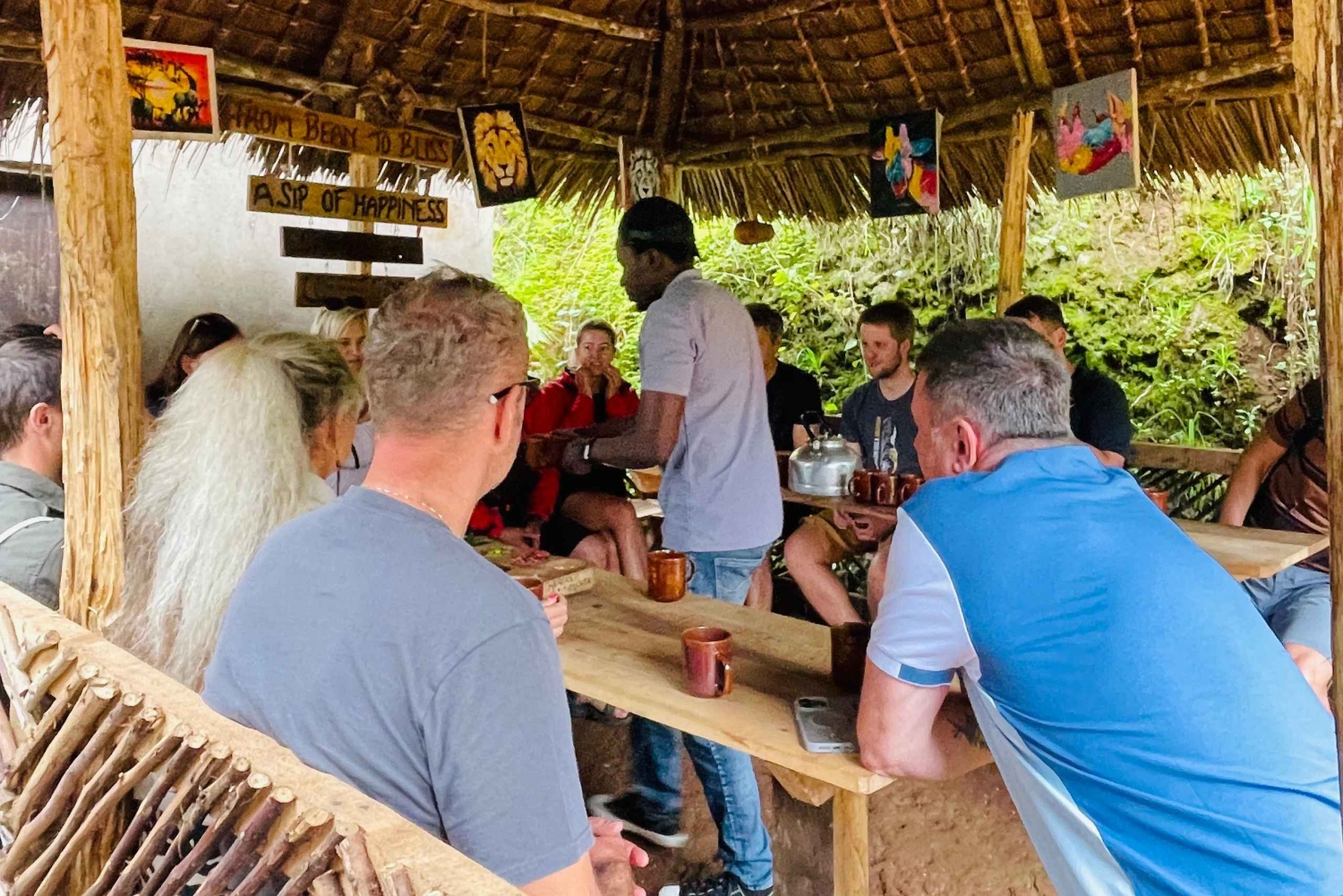 Moshi/Arusha: Materuni-fossen, kaffetur og varme kilder