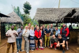 Moshi/Arusha: Materuni-fossen, kaffetur og varme kilder