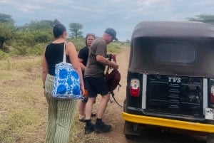 Moshi/Arusha: Materuni-fossen, kaffetur og varme kilder