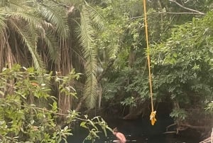 Moshi/Arusha: Materuni-fossen, kaffetur og varme kilder