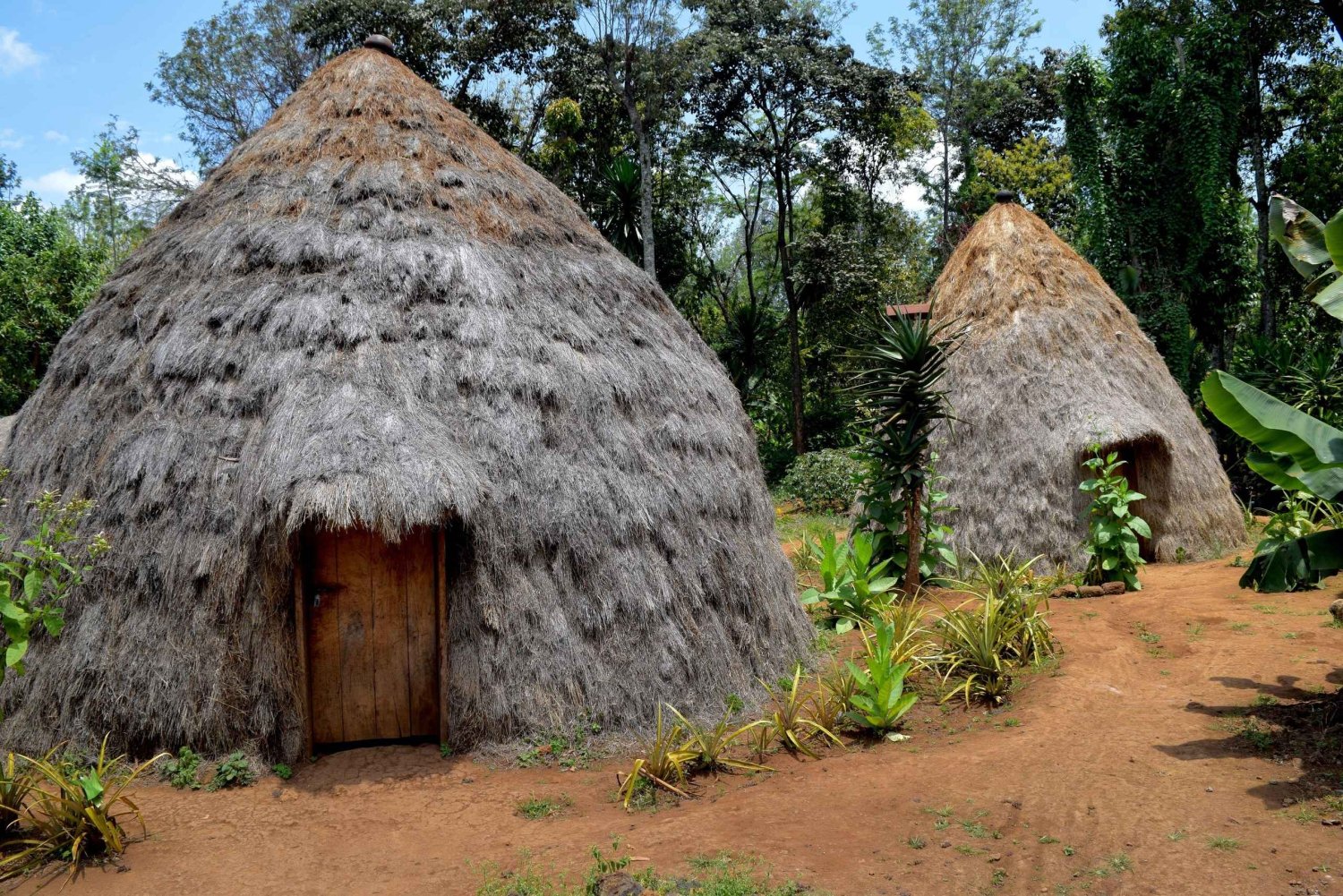 Moshi: Chagga Village Pernottamento con opzioni per il secondo giorno