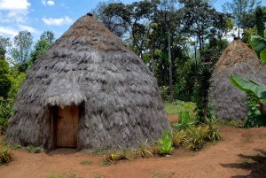 Moshi: Noche en la aldea Chagga con opciones para el segundo día