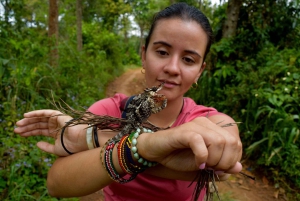Moshi: Noche en la aldea Chagga con opciones para el segundo día