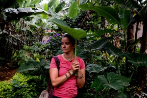 Moshi: Noche en la aldea Chagga con opciones para el segundo día