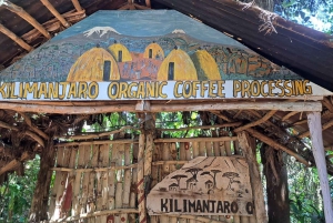 Moshi: Noche en la aldea Chagga con opciones para el segundo día