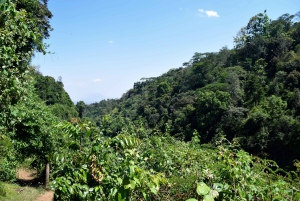 Moshi: Noche en la aldea Chagga con opciones para el segundo día