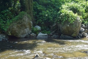 Moshi: Noche en la aldea Chagga con opciones para el segundo día