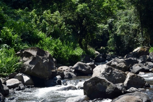 Moshi: Noche en la aldea Chagga con opciones para el segundo día