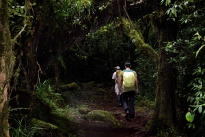 Moshi: Noche en la aldea Chagga con opciones para el segundo día