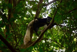 Moshi: Noche en la aldea Chagga con opciones para el segundo día