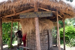 Moshi: Excursión al Pueblo Chagga