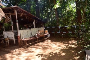 Moshi: Excursión al Pueblo Chagga