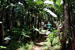 Moshi: Excursión al Pueblo Chagga