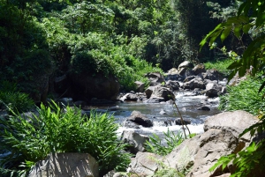 Moshi: Excursión al Pueblo Chagga