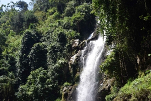 Moshi: Excursión al Pueblo Chagga