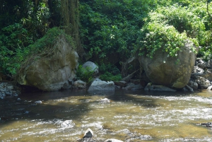 Moshi: Excursión al Pueblo Chagga