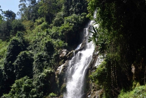 Moshi: Excursión al Pueblo Chagga