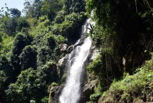Moshi: Excursión al Pueblo Chagga