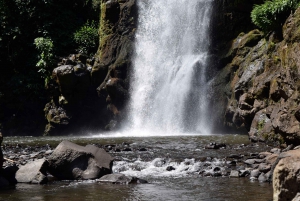 Moshi: Excursión al Pueblo Chagga