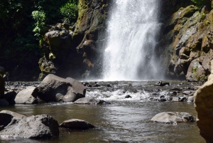 Moshi: Excursión al Pueblo Chagga