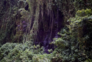 Moshi: Excursión al Pueblo Chagga