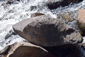 Moshi: Excursión al Pueblo Chagga