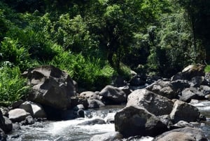 Moshi: Excursión al Pueblo Chagga