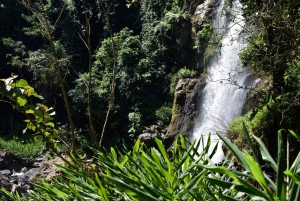 Moshi: Excursión al Pueblo Chagga