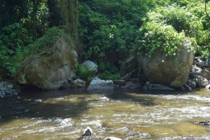 Moshi: Excursión al Pueblo Chagga