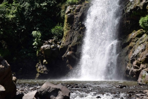 Moshi: Excursión al Pueblo Chagga