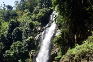 Moshi: Excursión al Pueblo Chagga