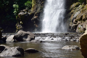Moshi: Excursión al Pueblo Chagga