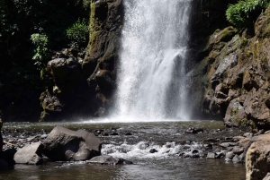 Moshi: Excursión al Pueblo Chagga