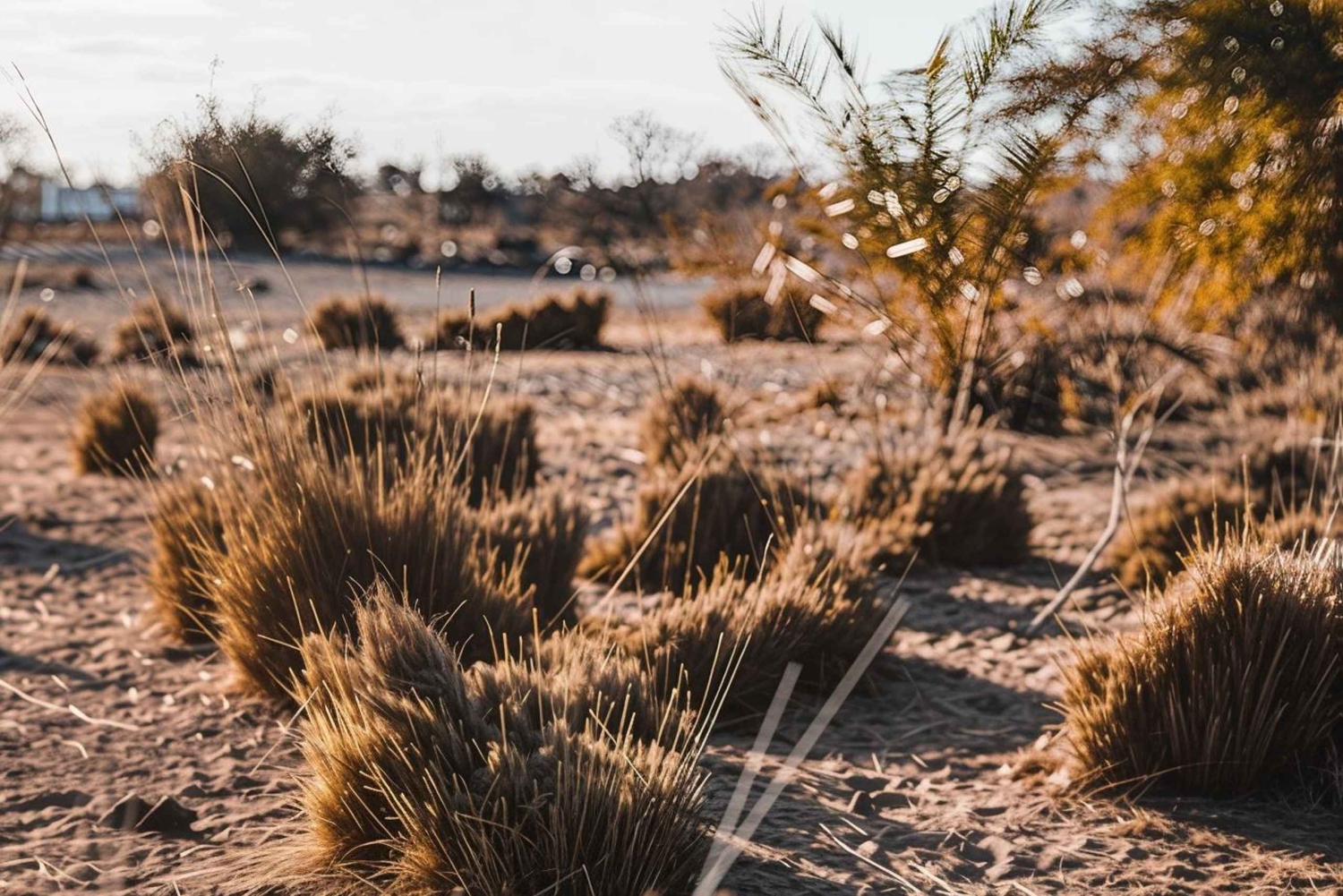 Moshi: excursión de 1 día a las termas de Chemka con recogida en el alojamiento