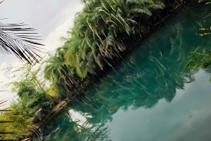 Moshi: excursión de 1 día a las termas de Chemka con recogida en el alojamiento