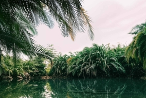 Moshi: excursión de 1 día a las termas de Chemka con recogida en el alojamiento