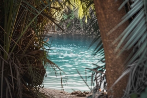 Moshi: excursión de 1 día a las termas de Chemka con recogida en el alojamiento