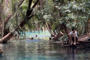 Moshi: dagtrip Chemka Hot Springs met eten en water