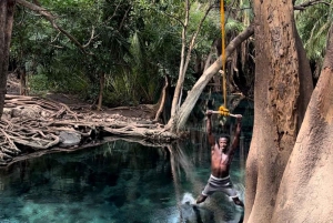 Moshi: dagtrip Chemka Hot Springs met eten en water