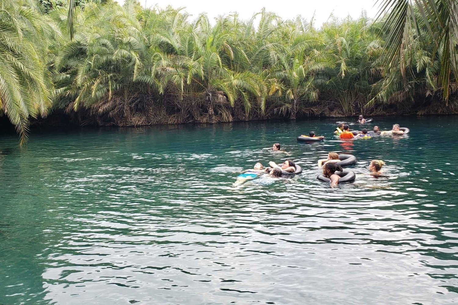 Moshi: Dagstur til Chemka Hot Springs