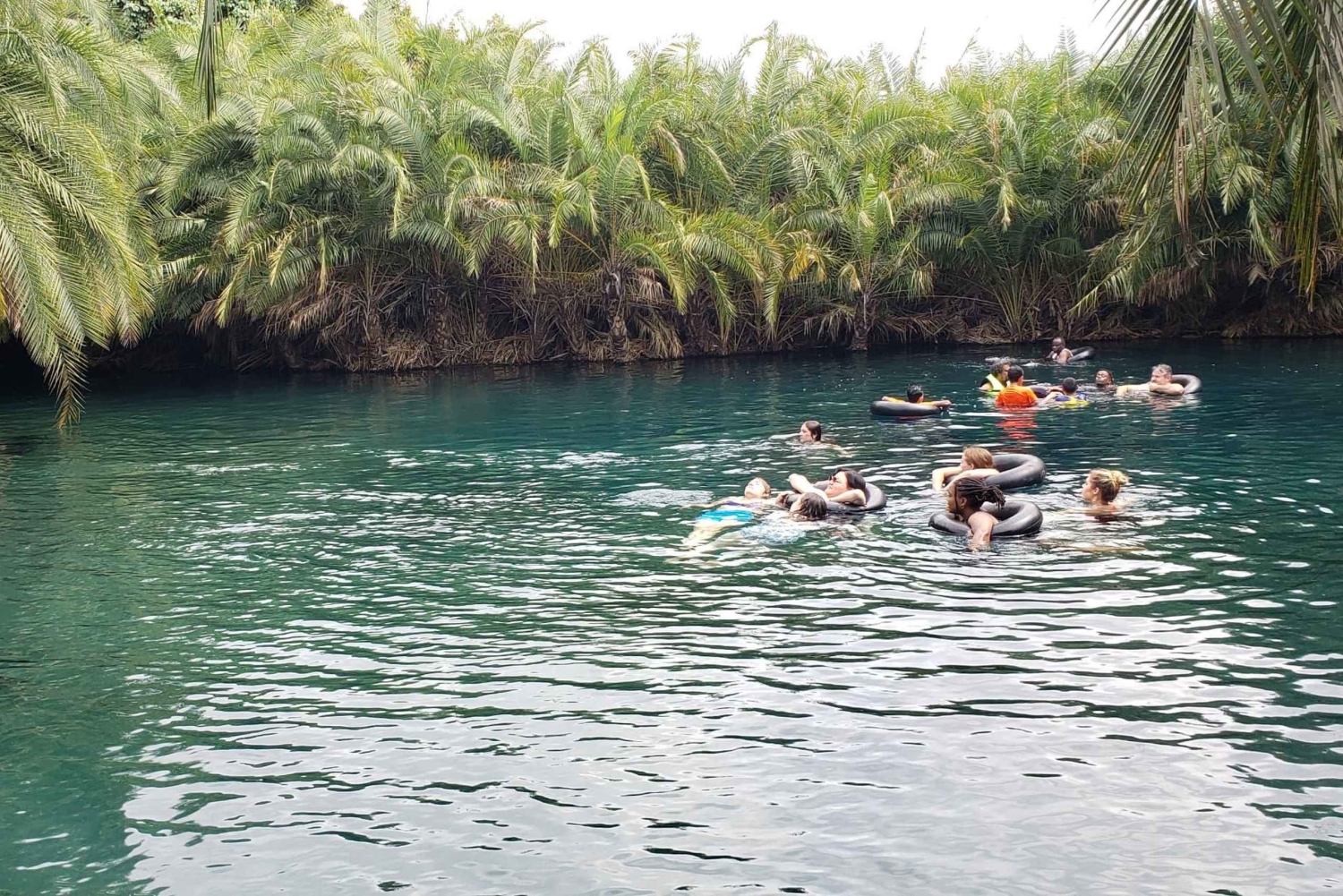 Moshi : excursion d'une journée aux sources chaudes de Chemka