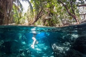 Moshi: Dagstur til Chemka Hot Springs