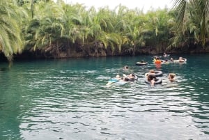 Moshi: Dagstur til Chemka Hot Springs