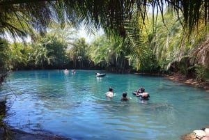 Moshi: Dagstur til Chemka Hot Springs