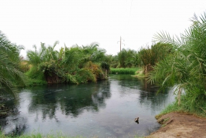 Moshi: Chemka Hot Springs