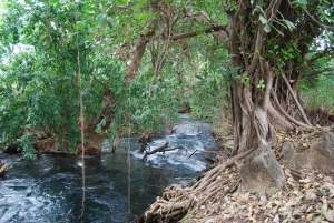Moshi: Chemka Hot Springs