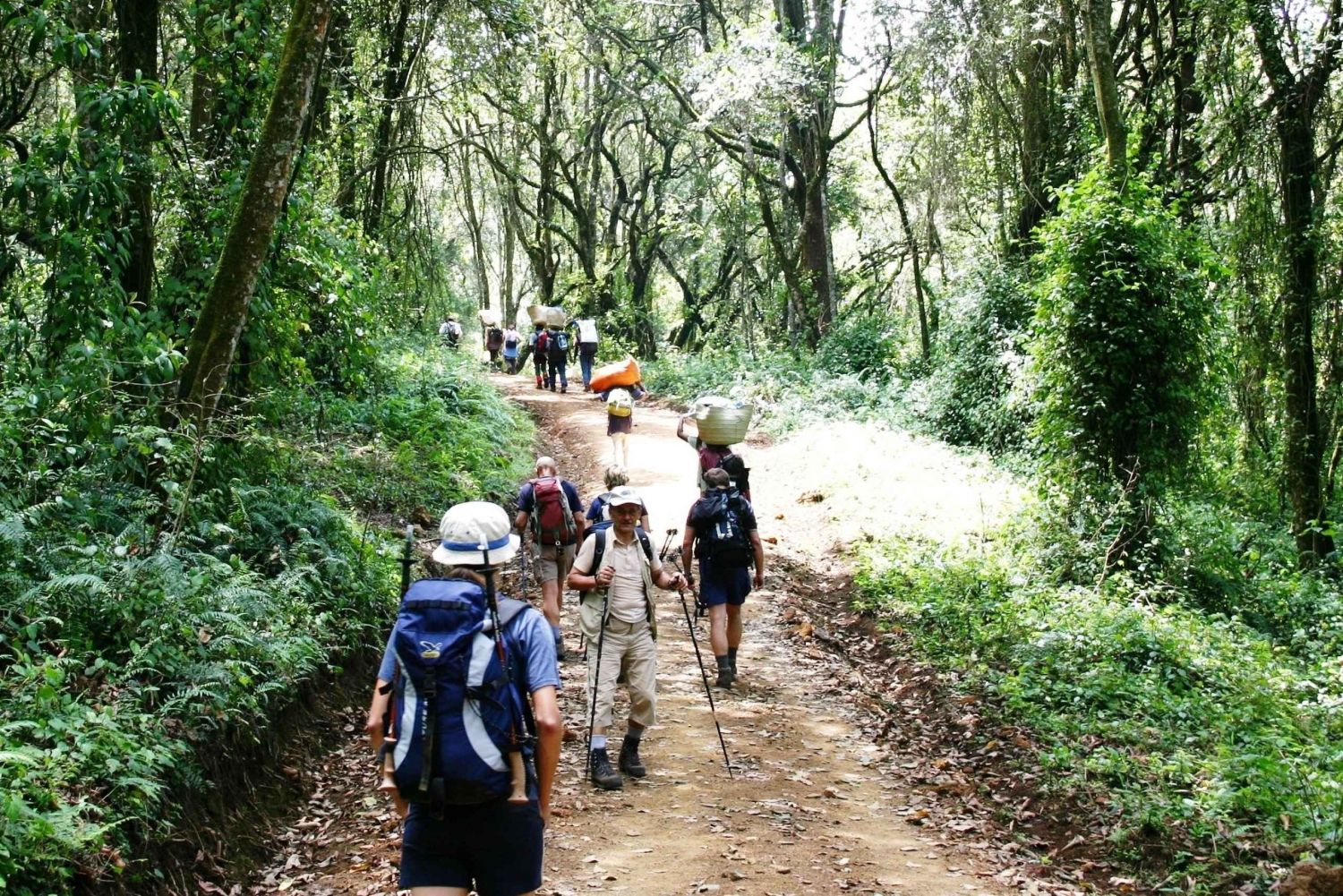 Moshi: Guided Kilimanjaro Day Tour