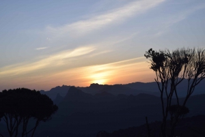 Moshi: Guided Kilimanjaro Day Tour